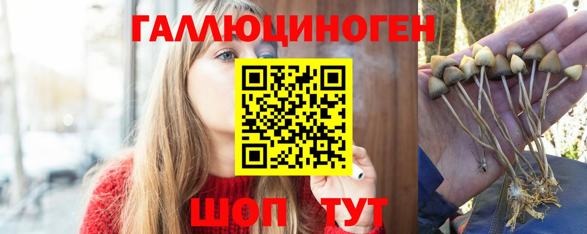 Псилоцибиновые грибы GOLDEN TEACHER Красногорск